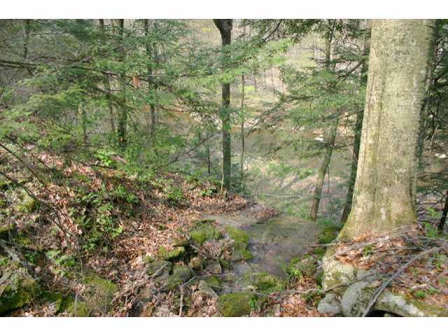 2895 Slack Road Mount Perry, OH 43760 - Photo 2 of 10