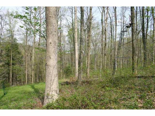 2895 Slack Road Mount Perry, OH 43760 - Photo 8 of 10