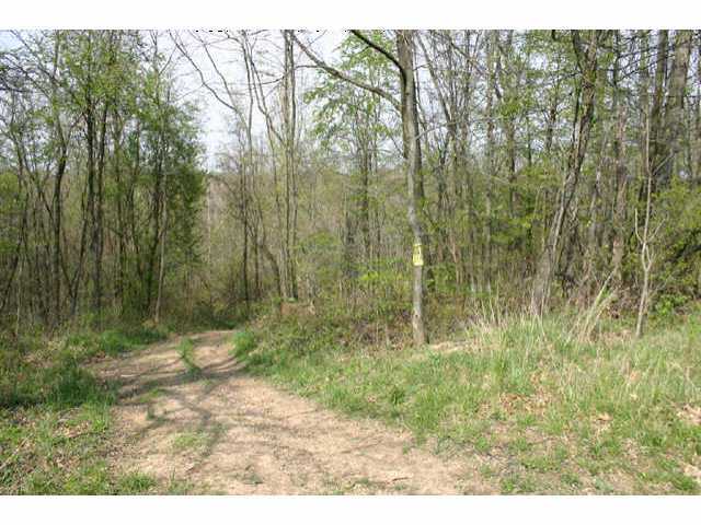 2895 Slack Road Mount Perry, OH 43760 - Photo 9 of 10