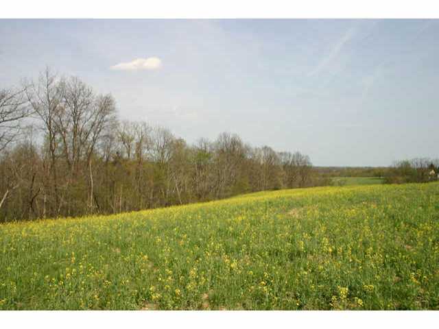 2895 Slack Road Mount Perry, OH 43760 - Photo 10 of 10