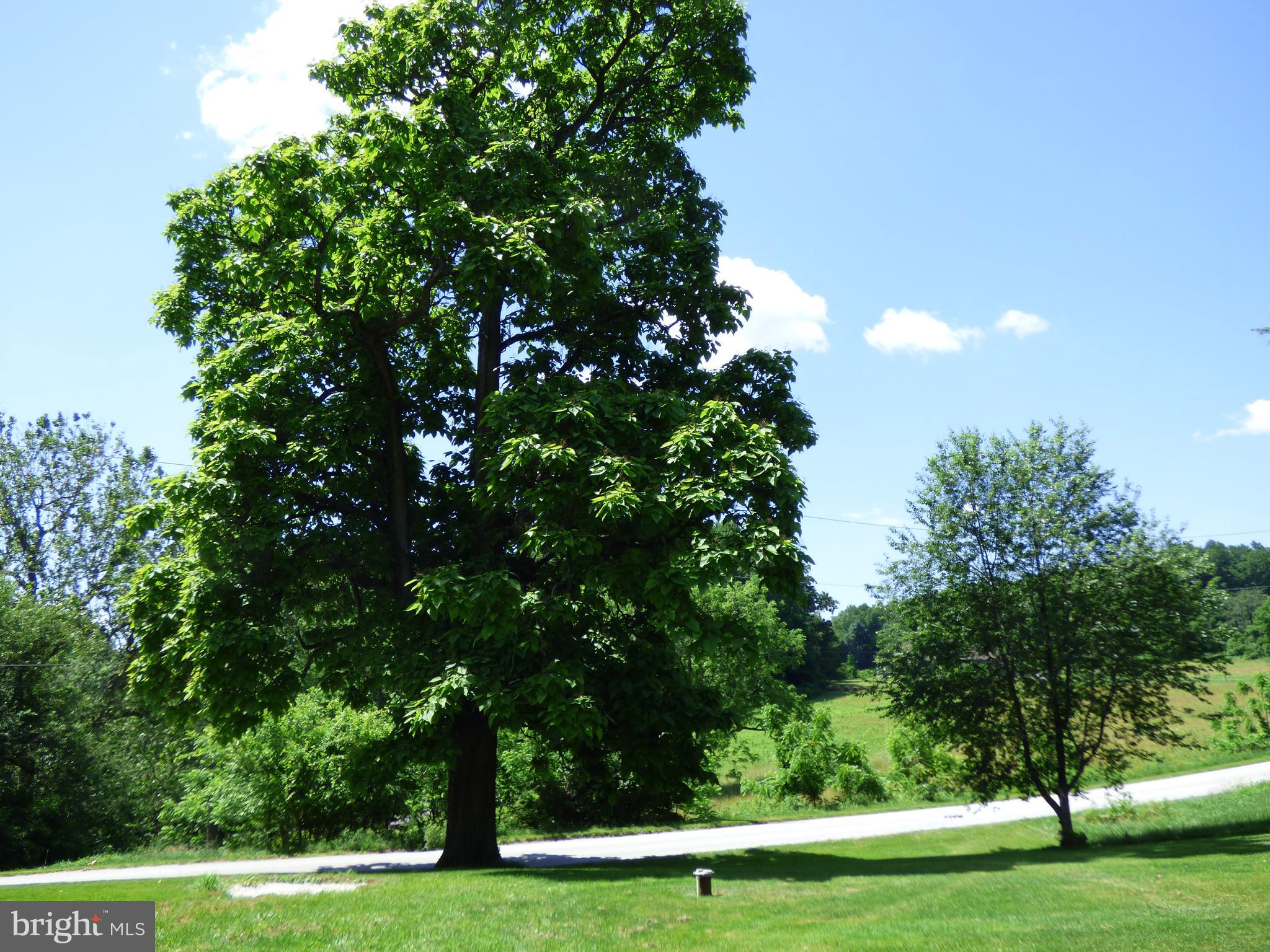 Lovely view from the front yard