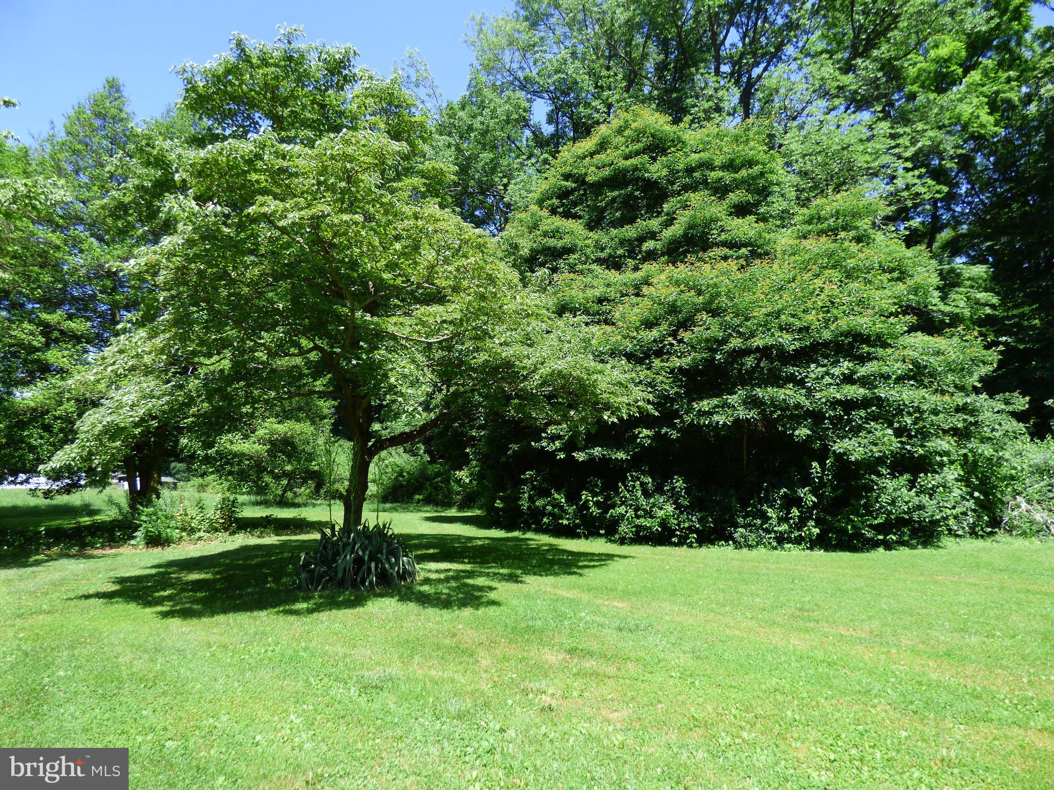 235 Reid Road Coatesville, PA 19320 - Photo 28 of 32 View of Backyard