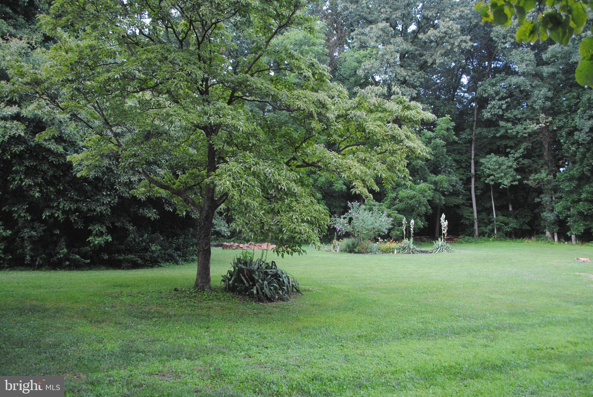 235 Reid Road Coatesville, PA 19320 - Photo 32 of 32 View of the backyard