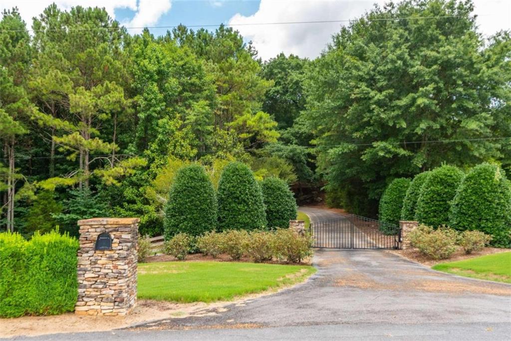 565 Owens Gin Road Northeast Calhoun, GA 30701 - Photo 27 of 80 a view of a yard with plants and large trees