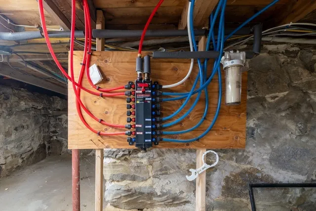 a view of a yard with plants and trees