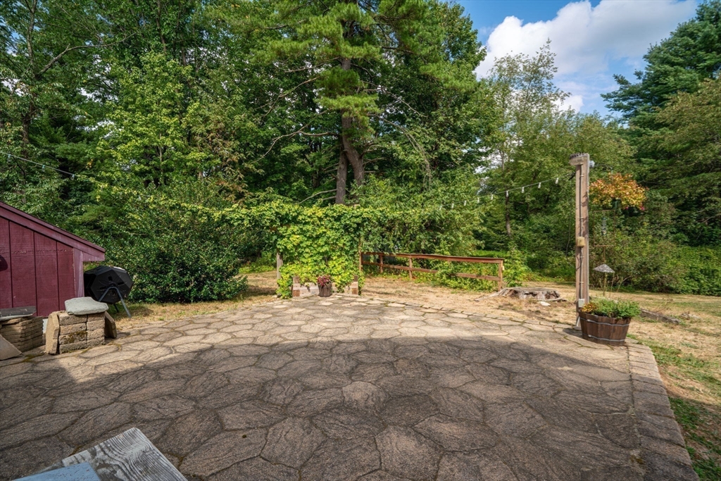 132 Maple Avenue Atkinson, NH 03811 - Photo 35 of 41 a view of a yard with plants and trees