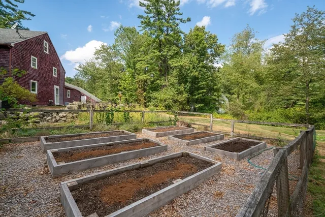 a view of yard with green space