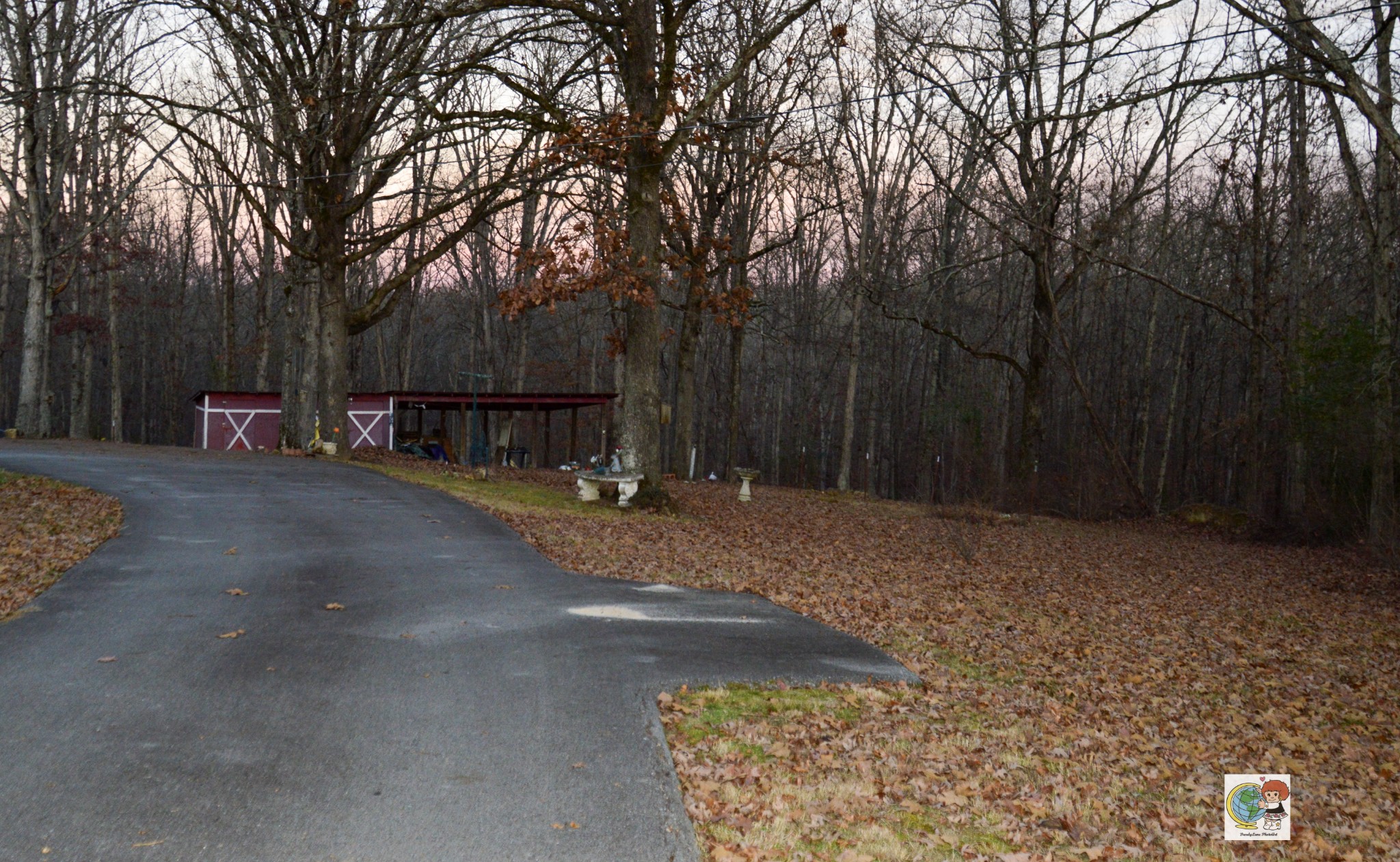 307 Bakerville Road Waverly, TN 37185 - Photo 11 of 57 Gallery Image 11