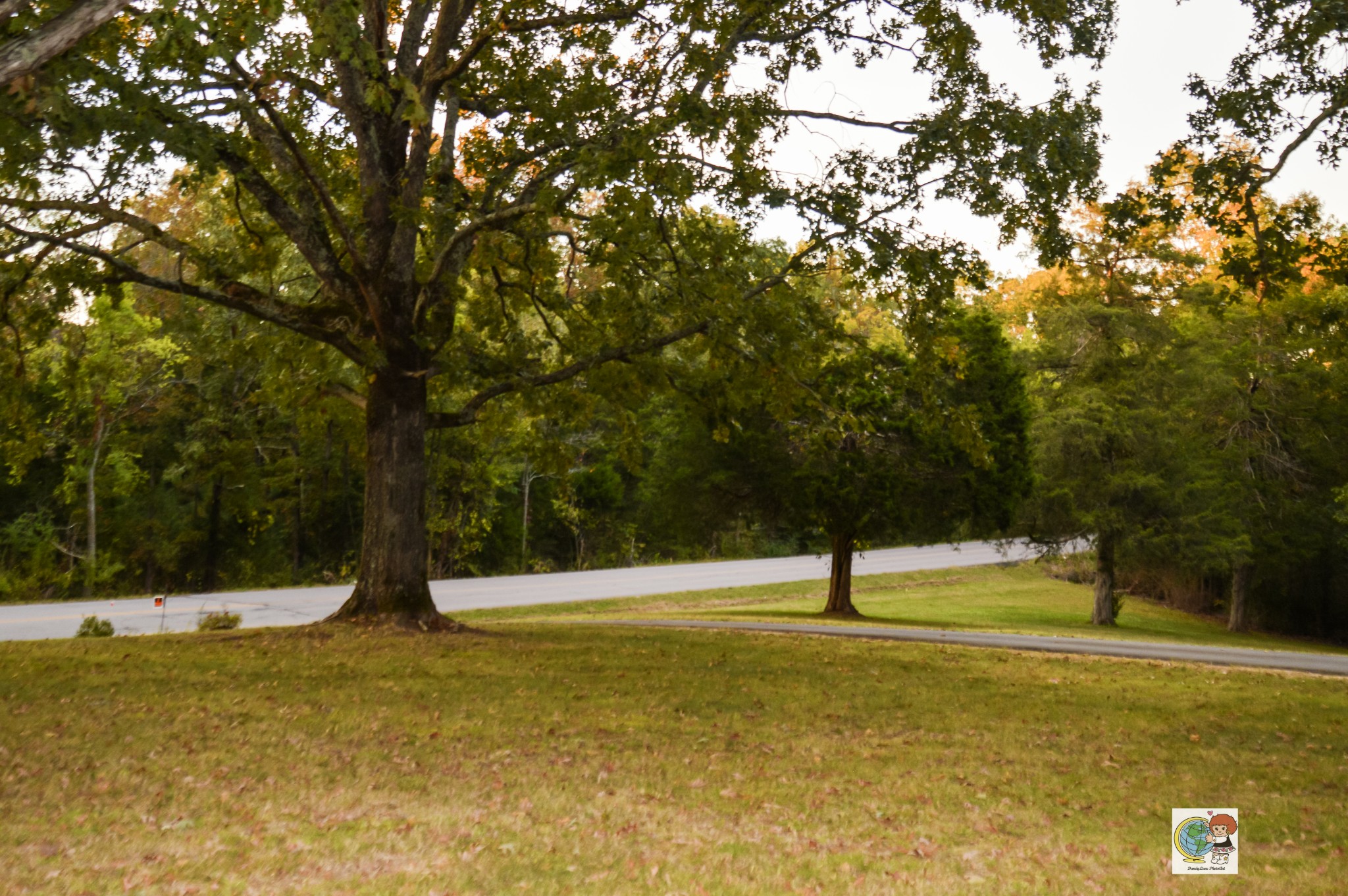 307 Bakerville Road Waverly, TN 37185 - Photo 27 of 57 Gallery Image 27