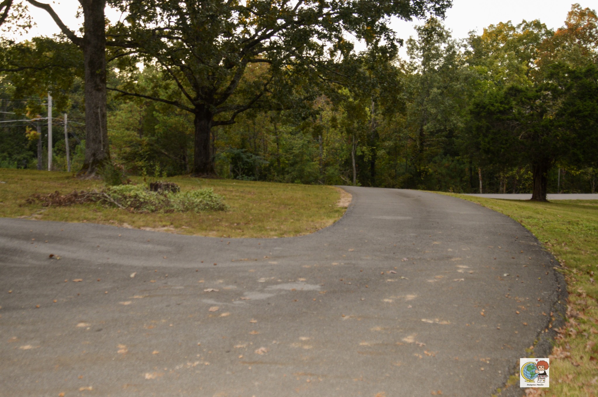 307 Bakerville Road Waverly, TN 37185 - Photo 29 of 57 Gallery Image 29
