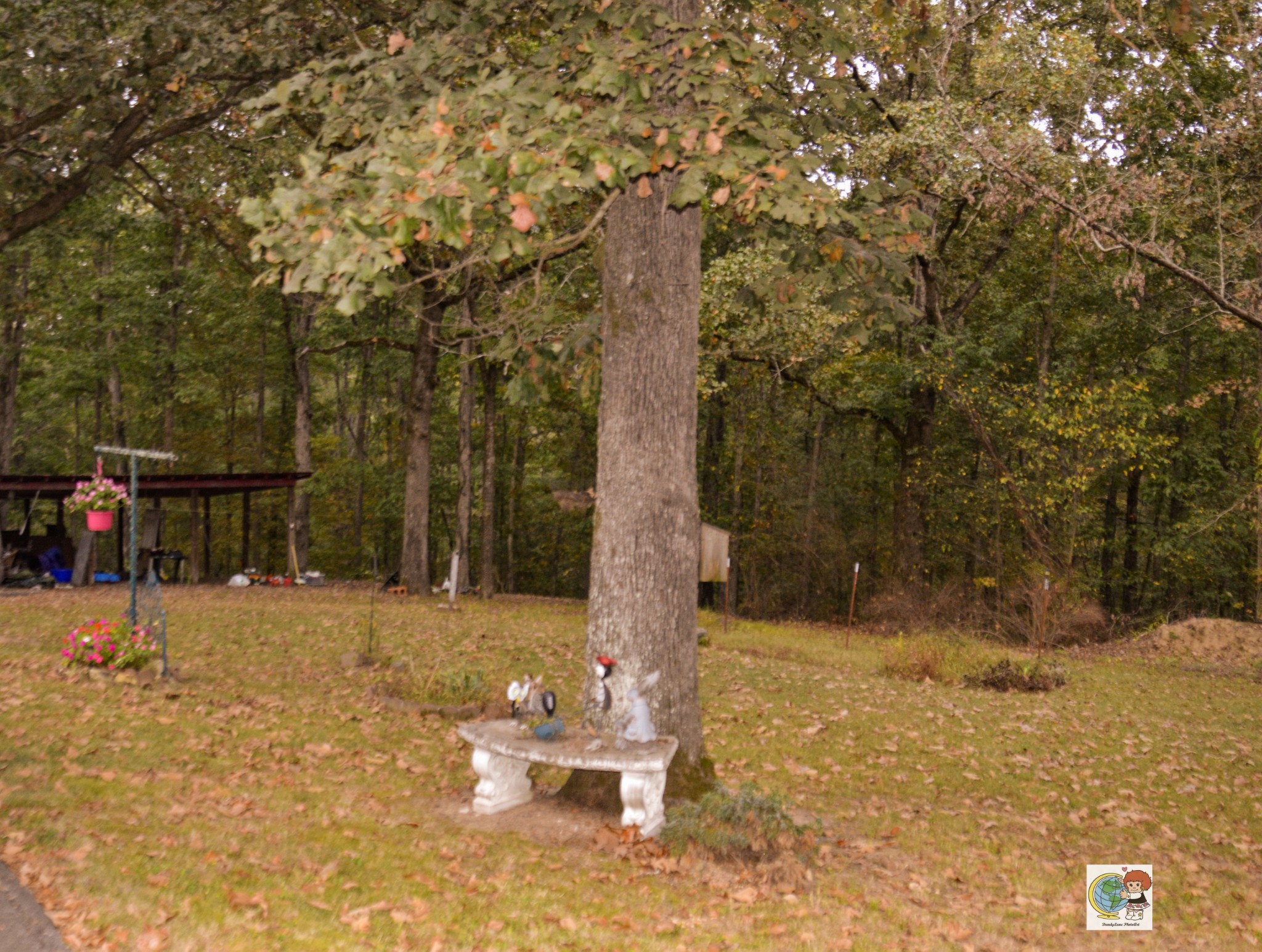 307 Bakerville Road Waverly, TN 37185 - Photo 33 of 57 Gallery Image 33