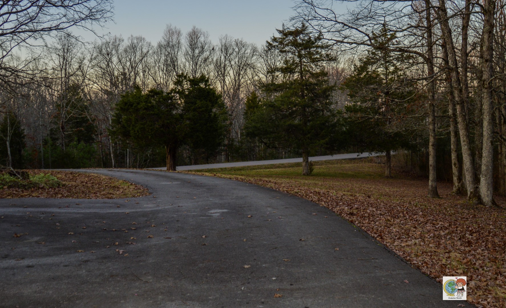 307 Bakerville Road Waverly, TN 37185 - Photo 41 of 57 Gallery Image 41