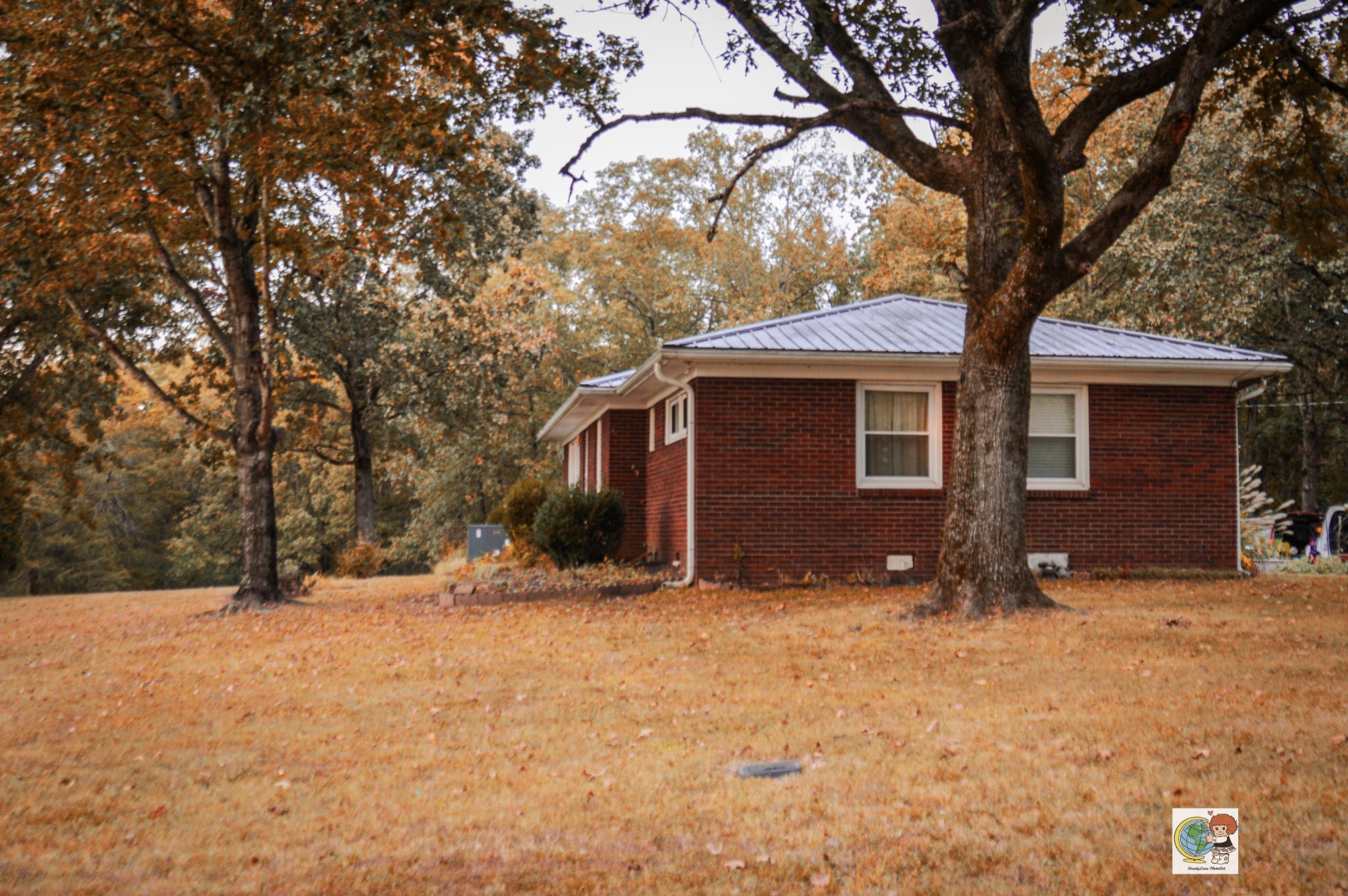 307 Bakerville Road Waverly, TN 37185 - Photo 8 of 57 Gallery Image 8