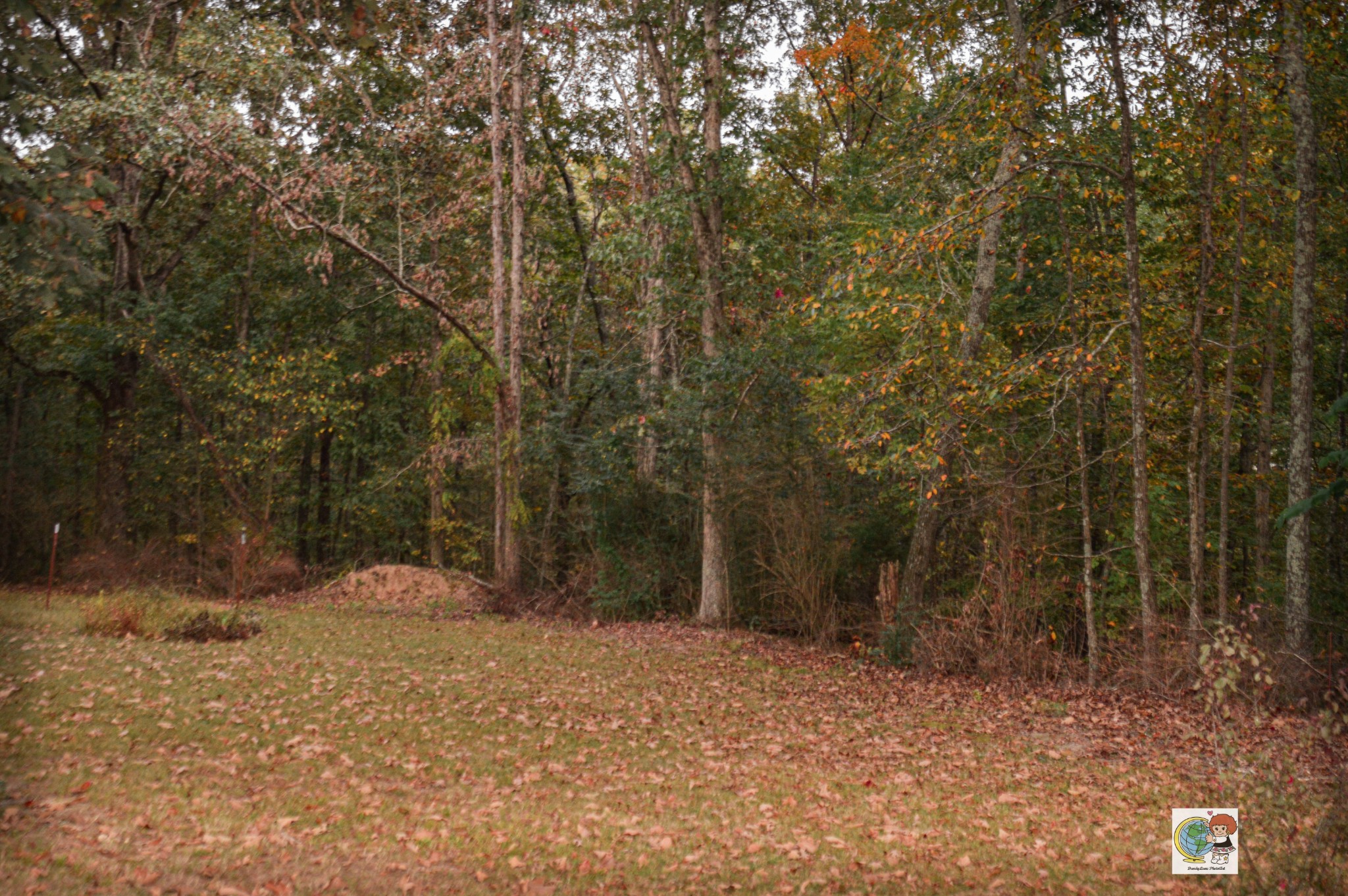 307 Bakerville Road Waverly, TN 37185 - Photo 10 of 57 Gallery Image 10