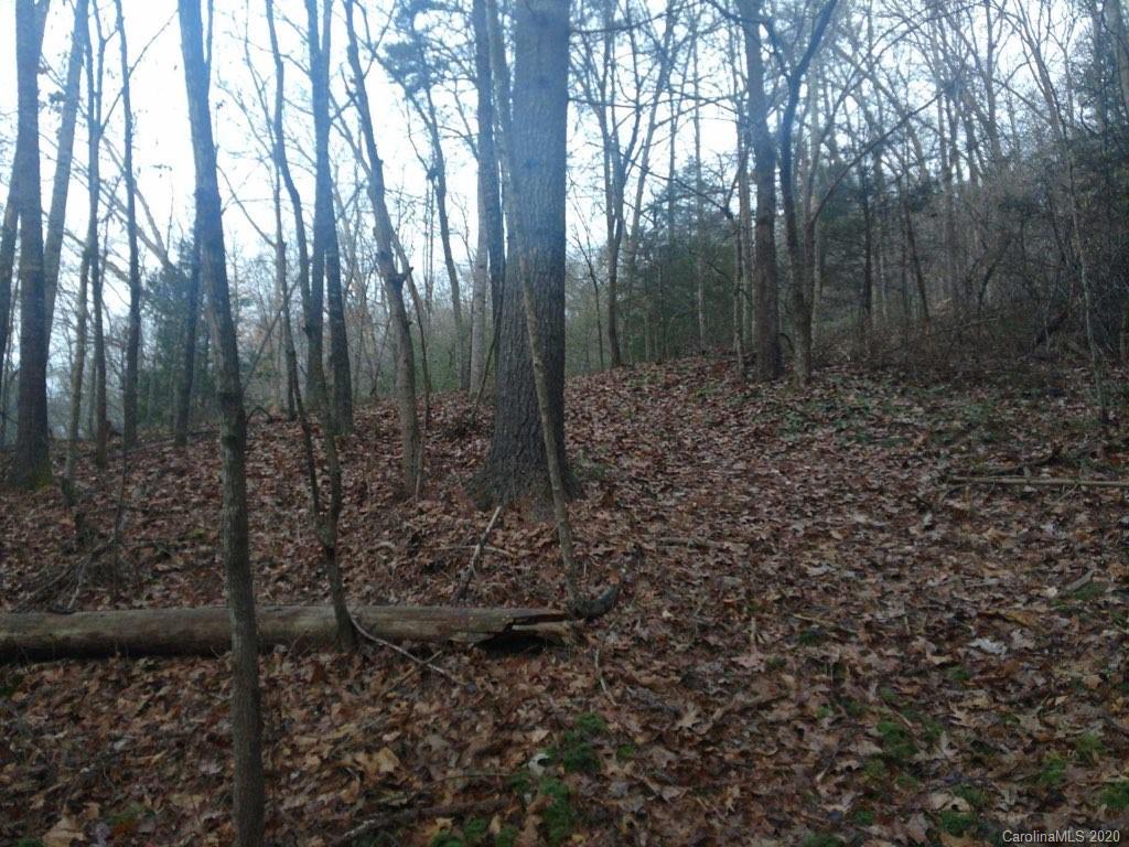 Off Off Conley Springs Road Clyde, NC 28721 - Photo 1 of 3