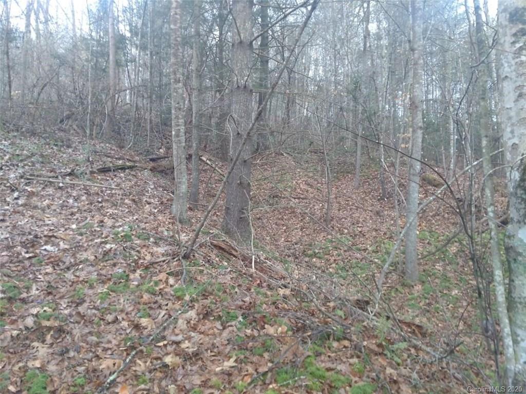 Off Off Conley Springs Road Clyde, NC 28721 - Photo 2 of 3