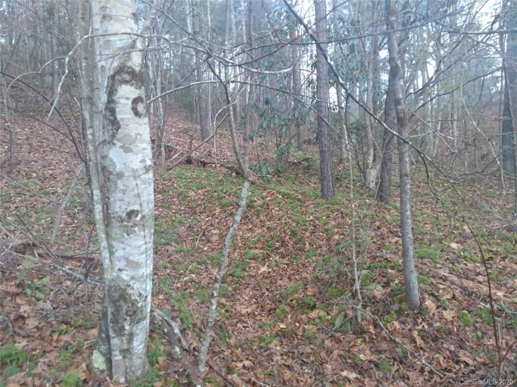 Off Off Conley Springs Road Clyde, NC 28721 - Photo 3 of 3