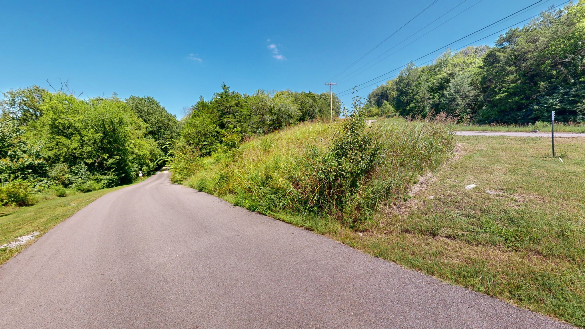 1468 Heller Ridge Spring Hill, TN 37174 - Photo 11 of 32