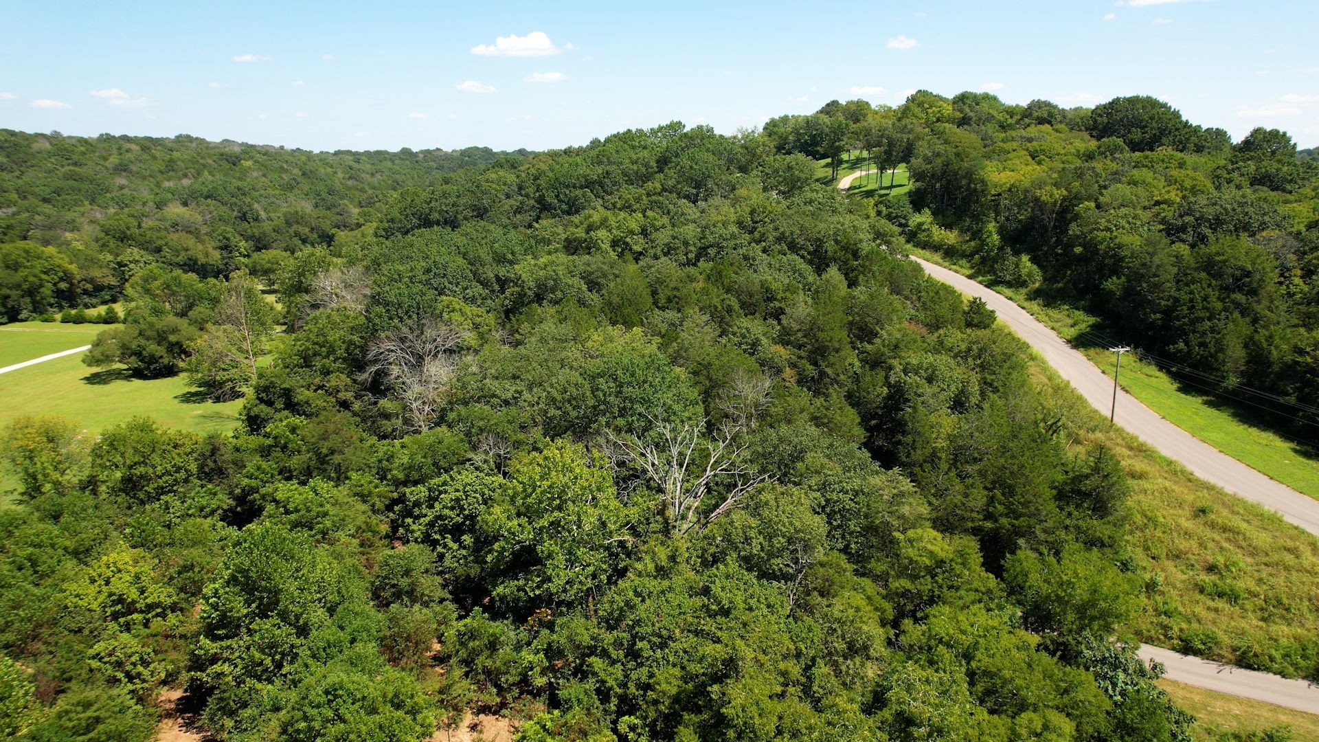 1468 Heller Ridge Spring Hill, TN 37174 - Photo 29 of 32