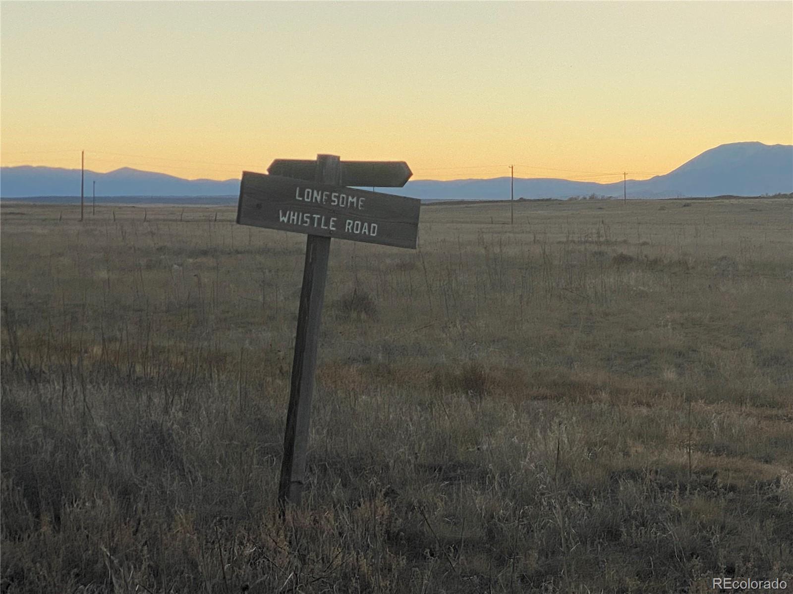 14 Ghost River Ranch Rye, CO 81069 - Photo 3 of 13 a view of a dry yard