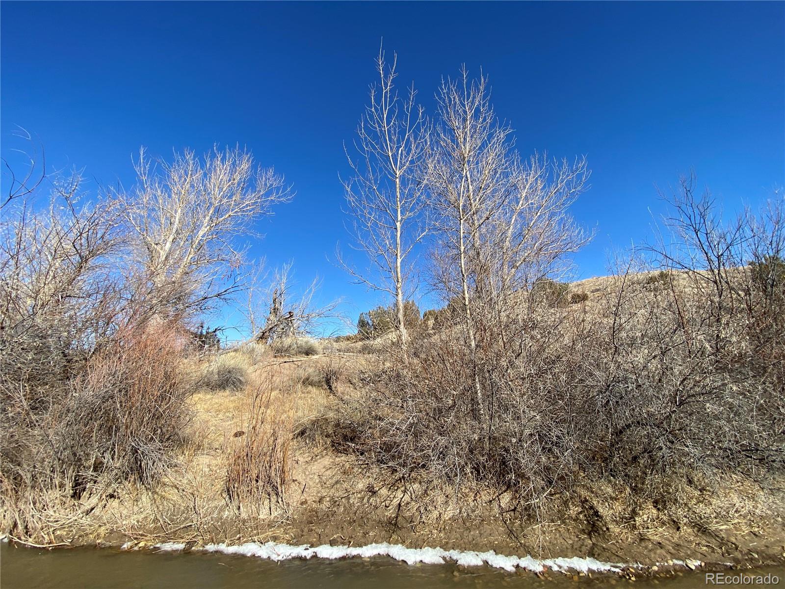 14 Ghost River Ranch Rye, CO 81069 - Photo 4 of 13 a view of a yard with large trees
