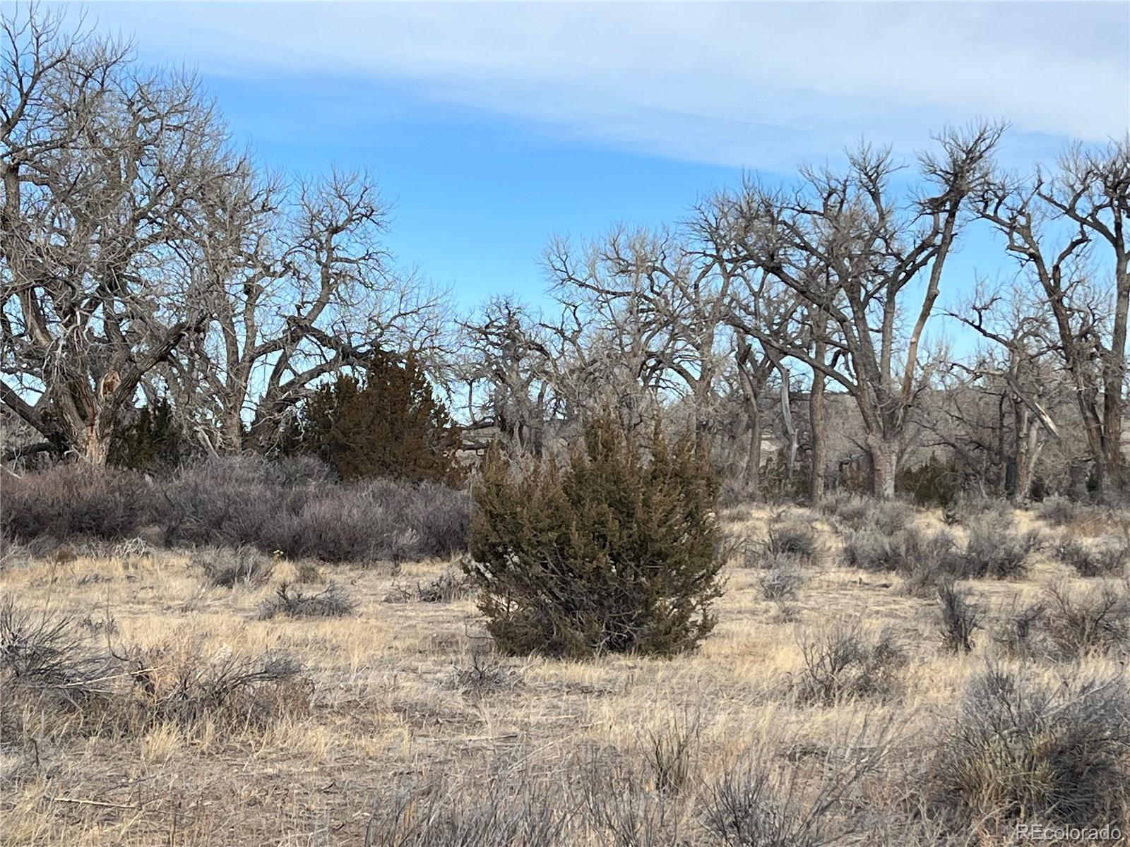14 Ghost River Ranch Rye, CO 81069 - Photo 6 of 13 a view of a yard