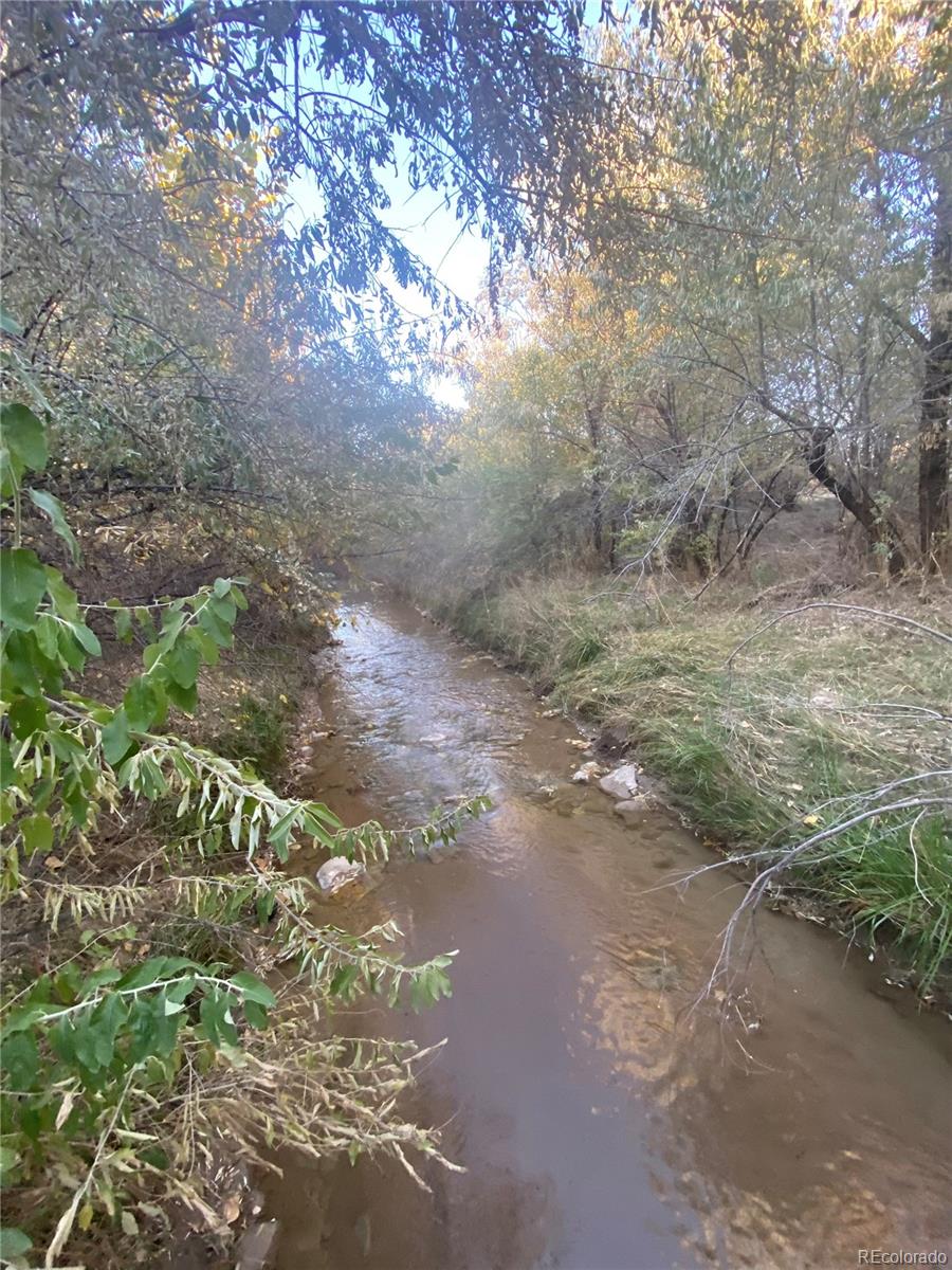 14 Ghost River Ranch Rye, CO 81069 - Photo 7 of 13 a view of a street with a yard