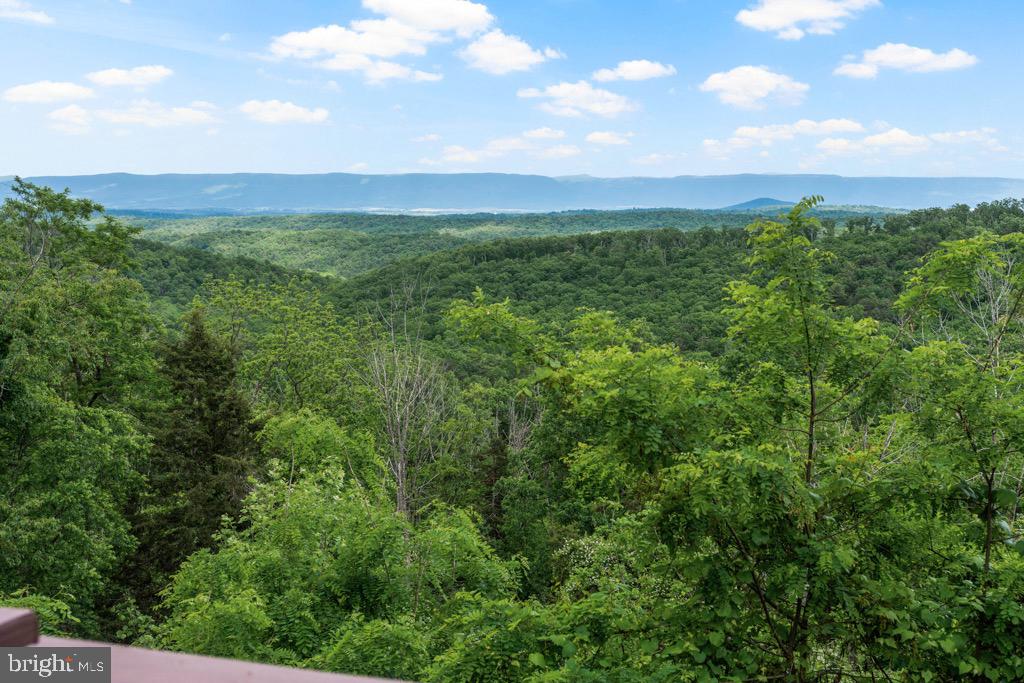 2702 Supinlick Ridge Road Mount Jackson, VA 22842 - Photo 20 of 65 Views