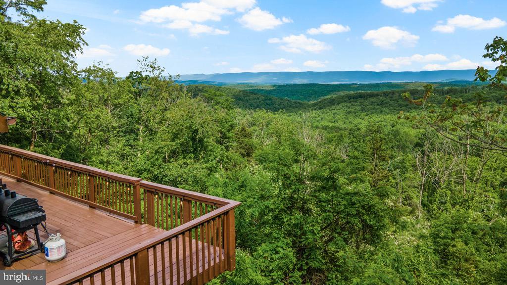 2702 Supinlick Ridge Road Mount Jackson, VA 22842 - Photo 3 of 65