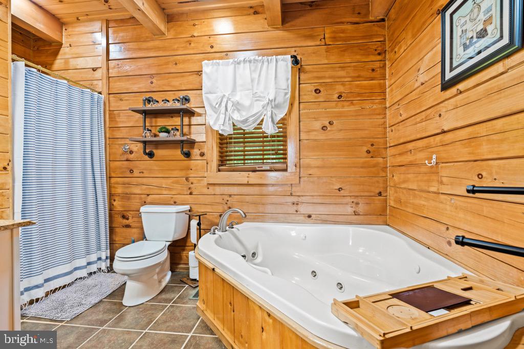 2702 Supinlick Ridge Road Mount Jackson, VA 22842 - Photo 39 of 65 Main level - primary BA