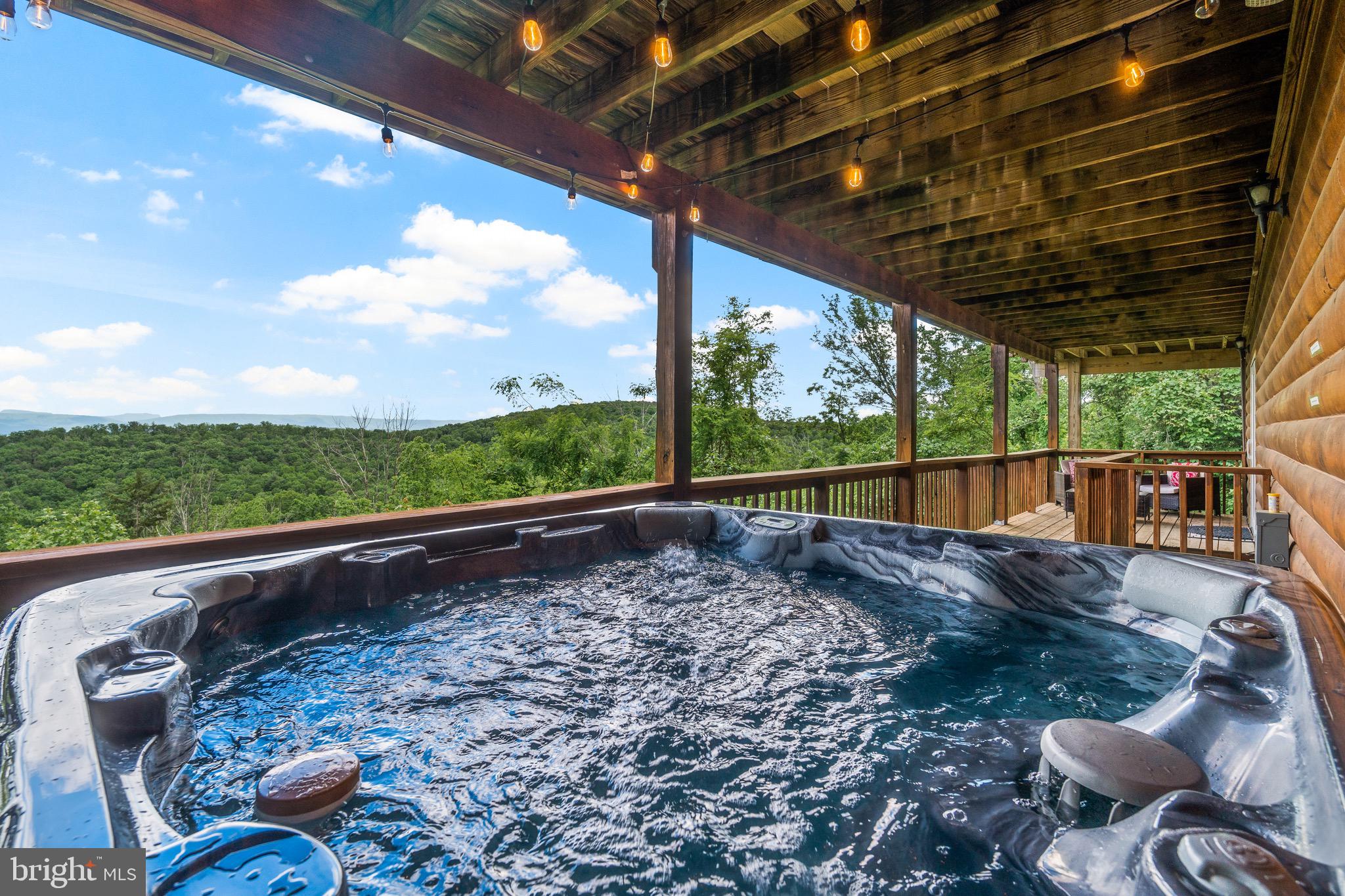 2702 Supinlick Ridge Road Mount Jackson, VA 22842 - Photo 5 of 65 Hot tub