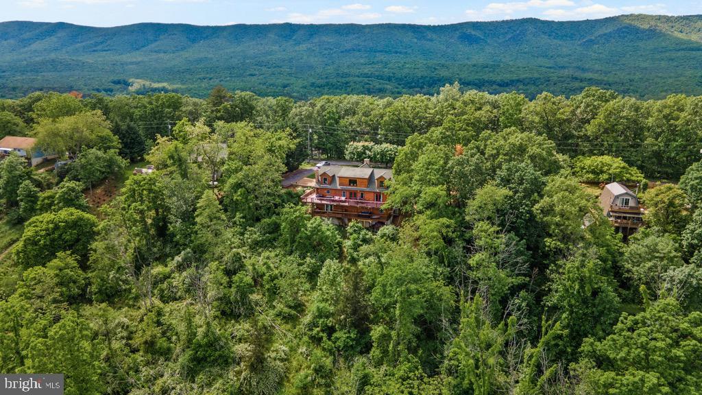 2702 Supinlick Ridge Road Mount Jackson, VA 22842 - Photo 64 of 65