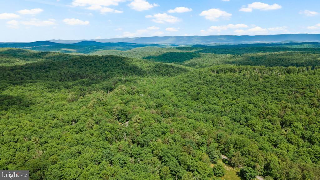 2702 Supinlick Ridge Road Mount Jackson, VA 22842 - Photo 10 of 65