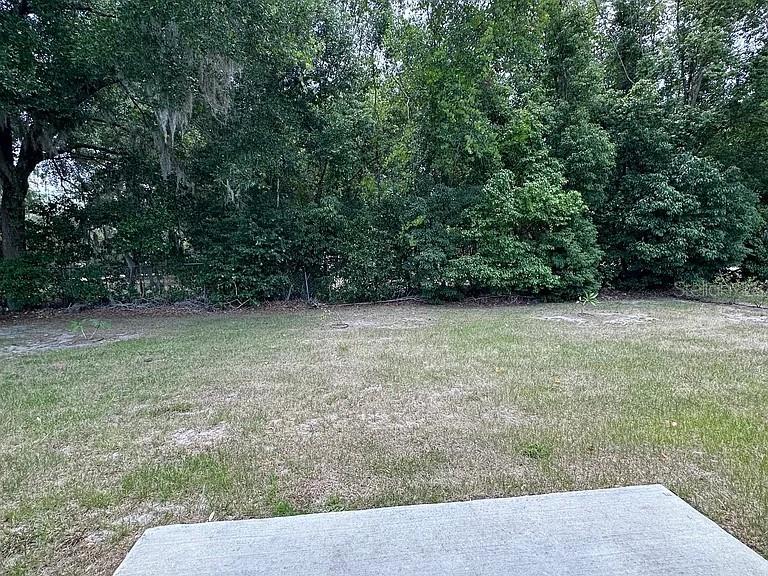 1737 North Lakewood Avenue Ocoee, FL 34761 - Photo 16 of 16 a view of a green field