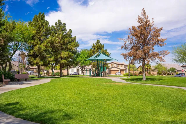 a view of a park with large trees