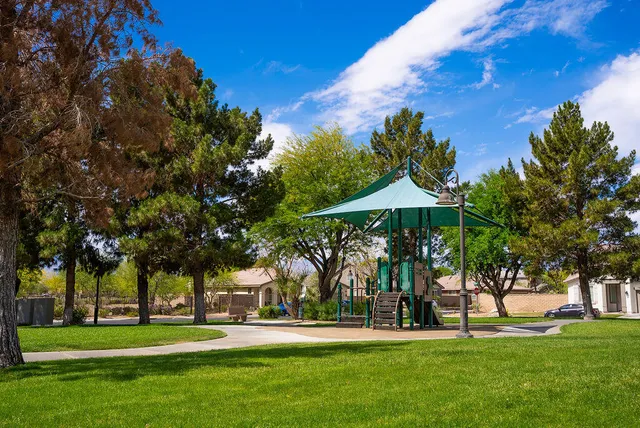 a view of a park with tree s
