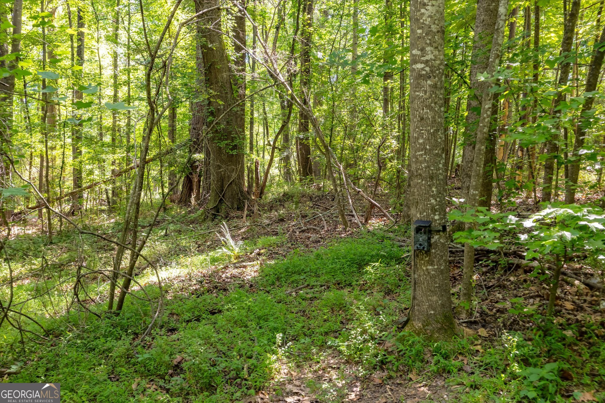 0 Gene Bell Road Northeast Monroe, GA 30655 - Photo 6 of 27