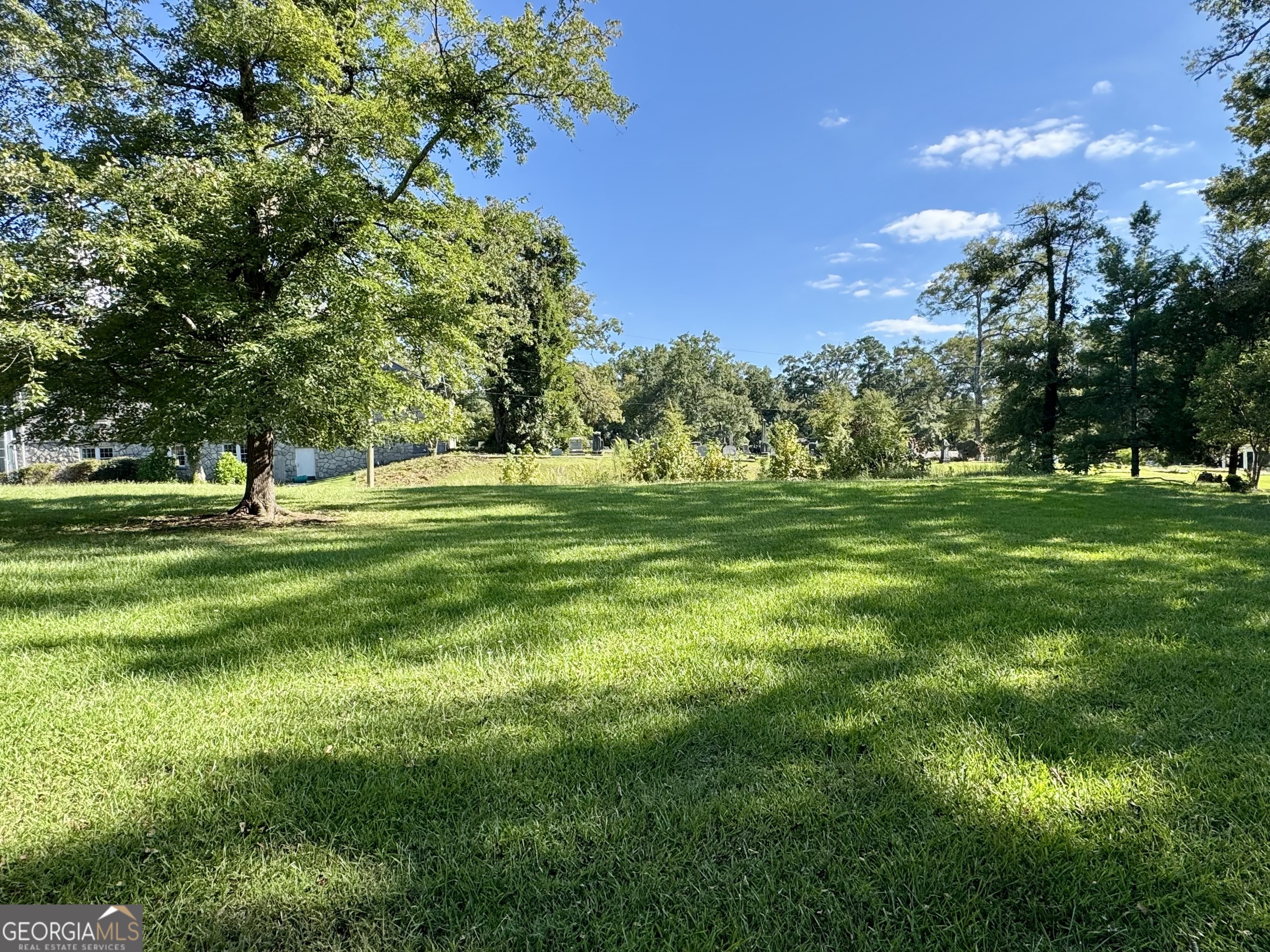 324 North Rhodes Street Union Point, GA 30669 - Photo 90 of 94 a view of a grassy field with trees