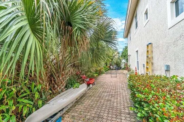 a view of a pathway with plants