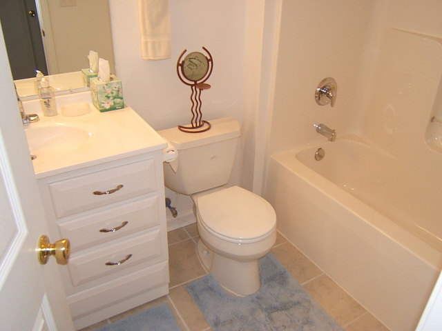 3742 New Spring Branch Road Southeast Roanoke, VA 24014 - Photo 4 of 11 Bath