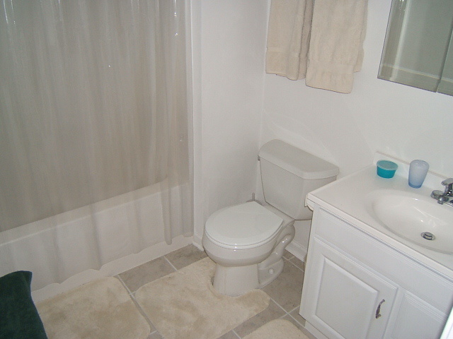 3742 New Spring Branch Road Southeast Roanoke, VA 24014 - Photo 6 of 11 Master bath