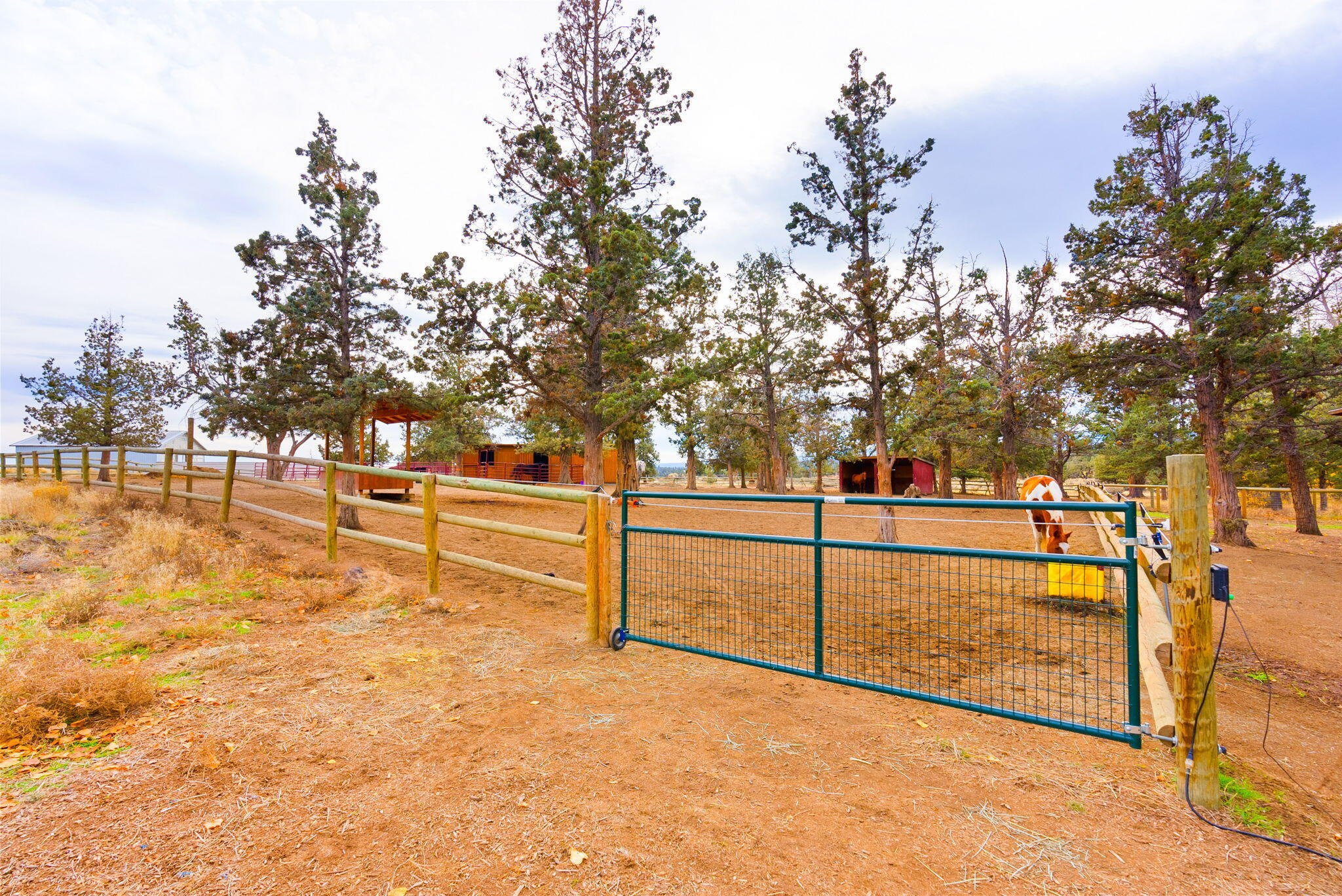 65345 Tweed Road Bend, OR 97703 - Photo 70 of 90 a view of a yard with wooden fence