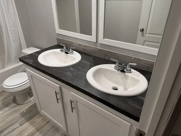 a bathroom with a sink and a toilet