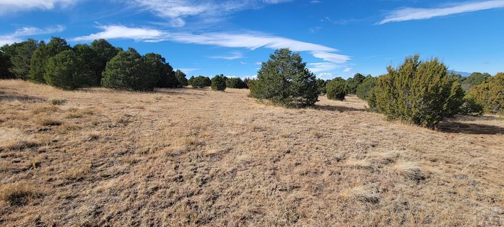 Lot 34 Silver Spur Road Walsenburg, CO 81089 - Photo 16 of 43