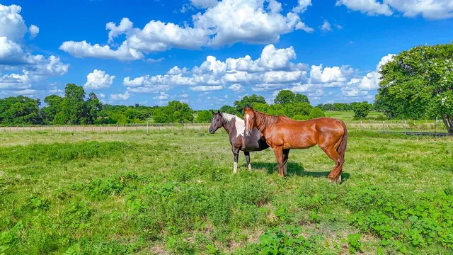 $138,869 | 0150 Northwest Ennis Tx 75119, Ennis, TX 75119