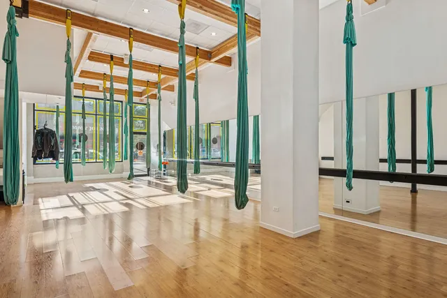 $5,000,000 | 2217 North Clybourn Avenue, Chicago, IL 60614