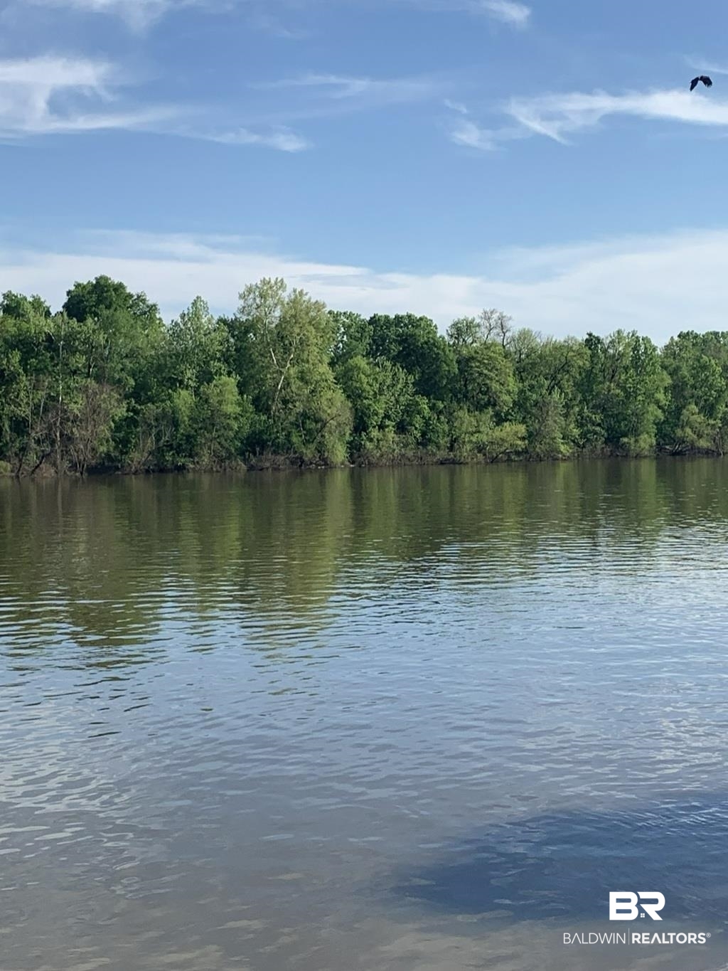 87 Sandy Bottoms Road Gainestown, AL 36540 - Photo 8 of 8