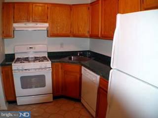 915 Woodchip Road Lumberton, NJ 08048 - Photo 4 of 4