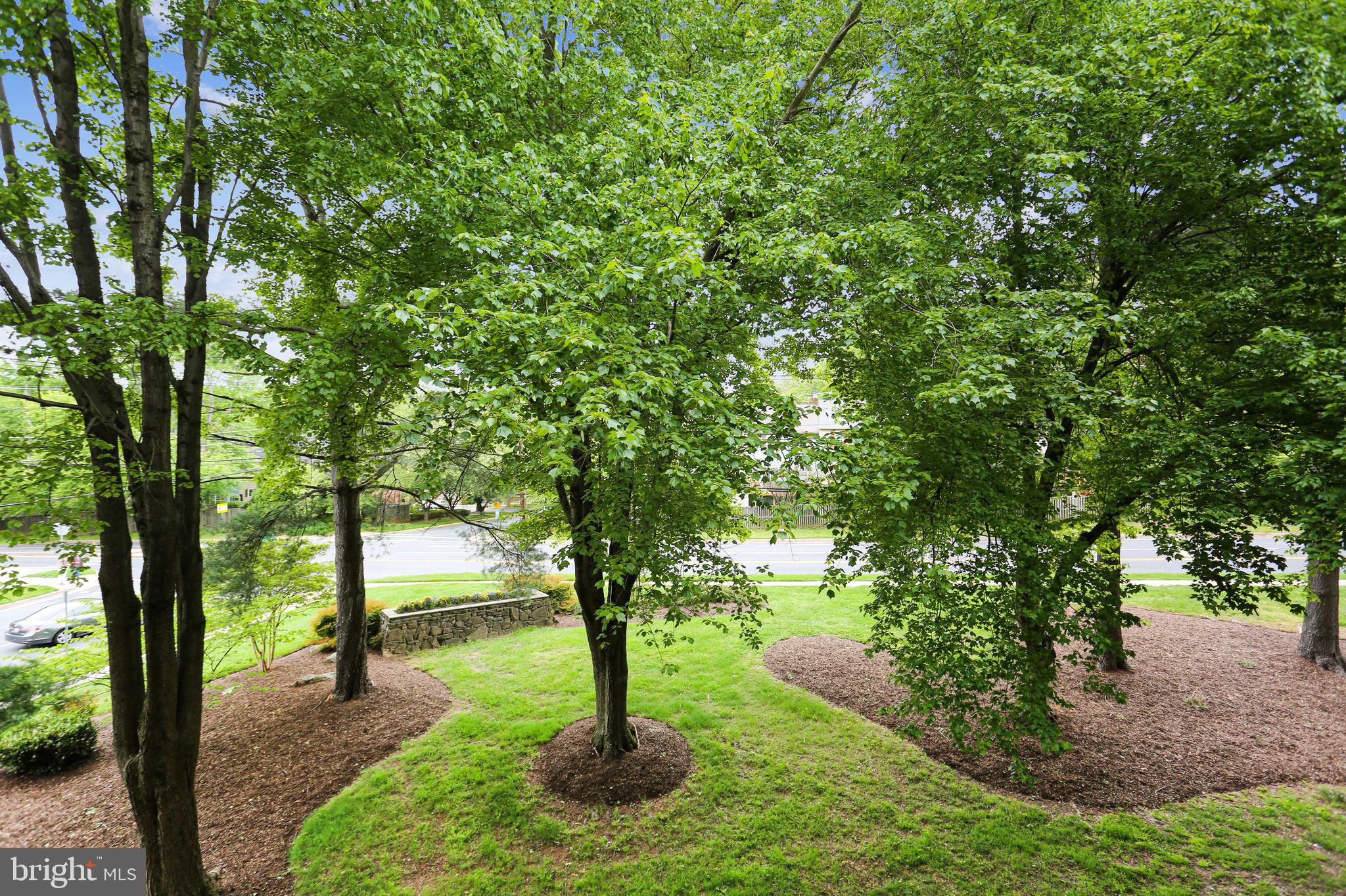 2503 Baltimore Road, Unit 25035 Rockville, MD 20853 - Photo 39 of 56 Gallery Image 39