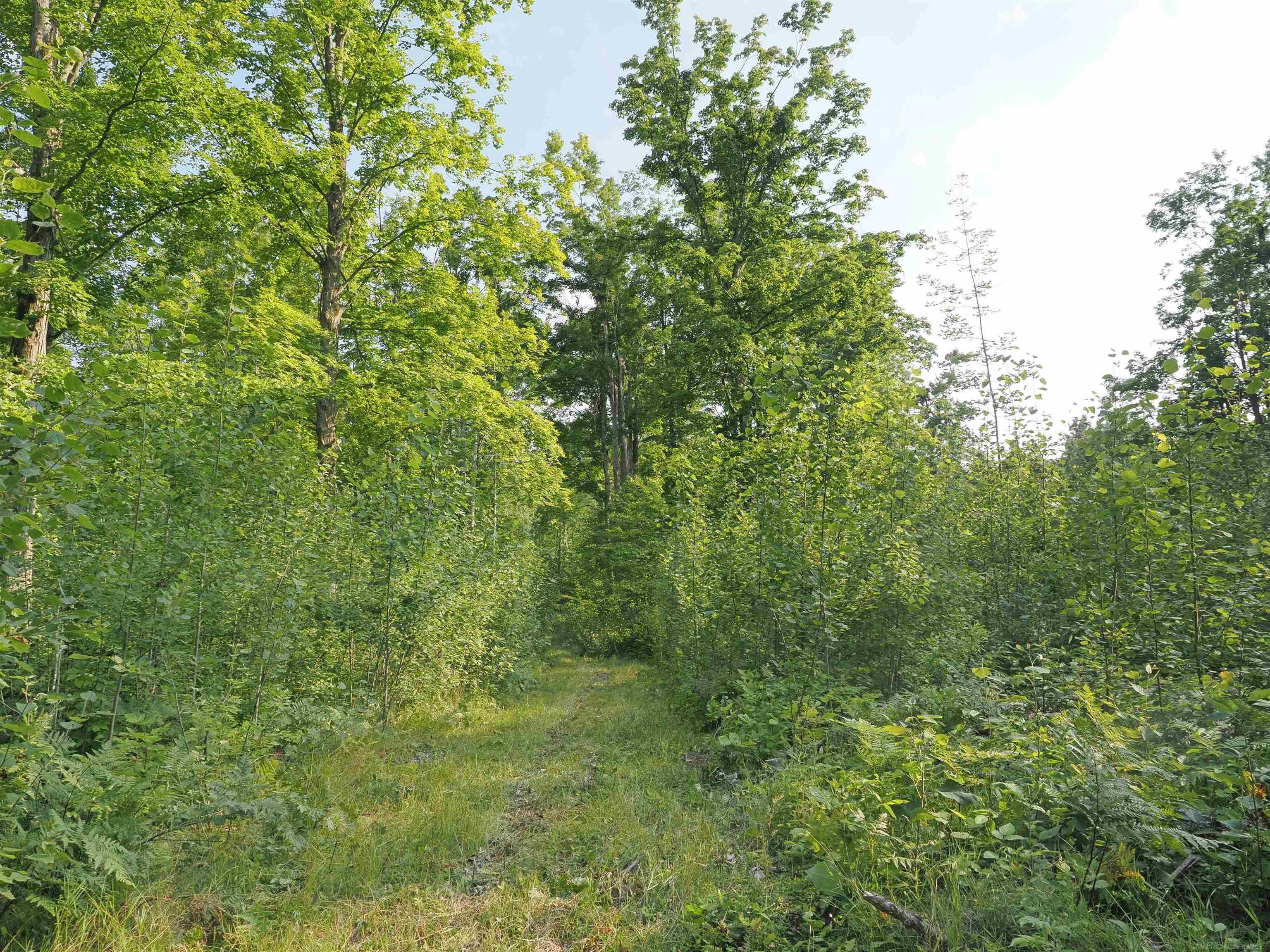Xxx Emig Road Comins, MI 48619 - Photo 46 of 63 Gallery Image 46
